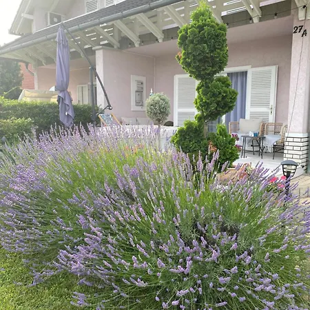 Scamard Villa Zamardi
